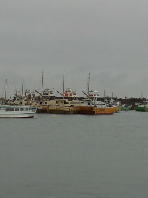 171021_155533.jpg